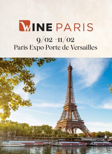 Landing wine paris mobile