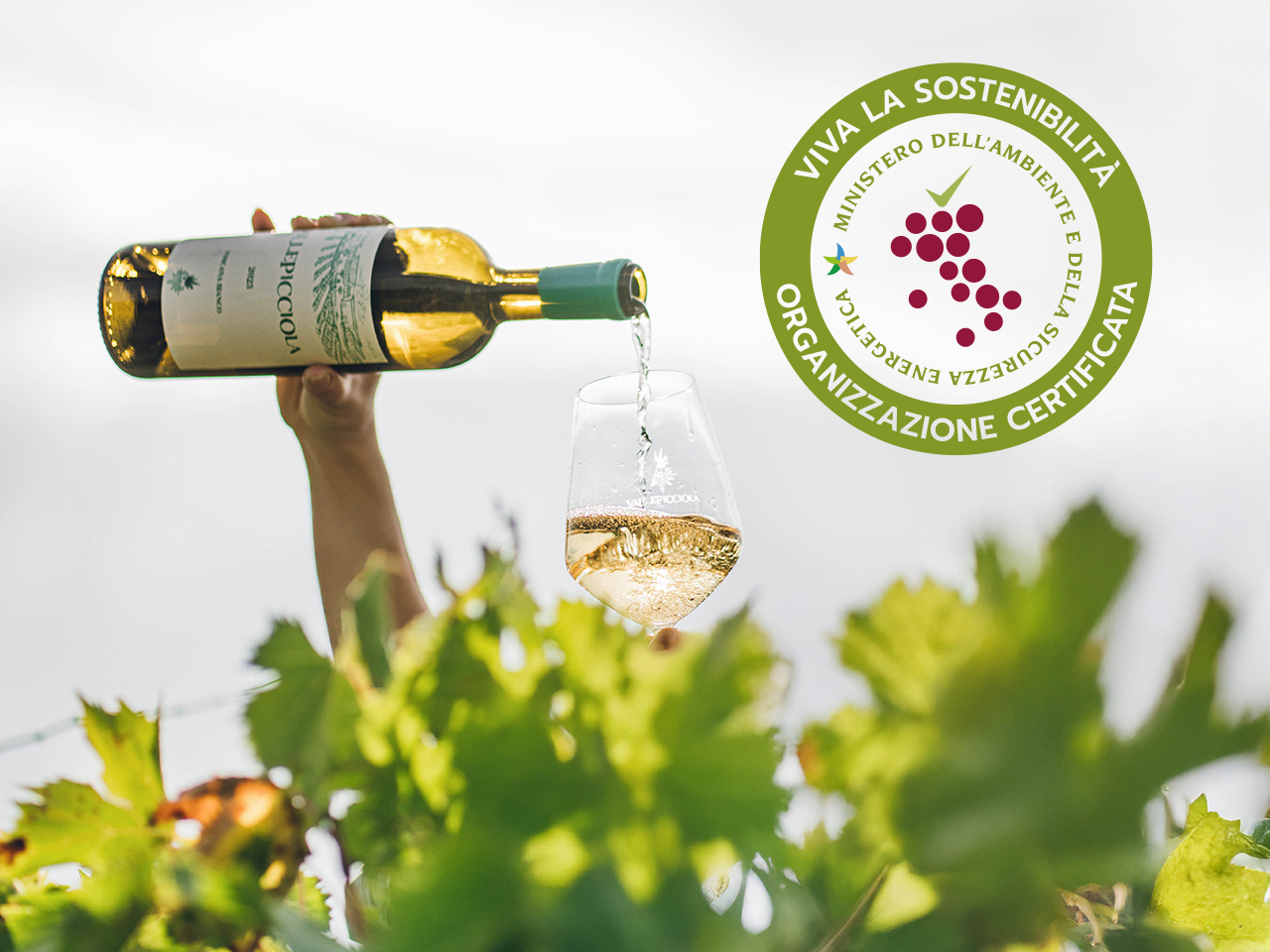 Come nascono | Homepage