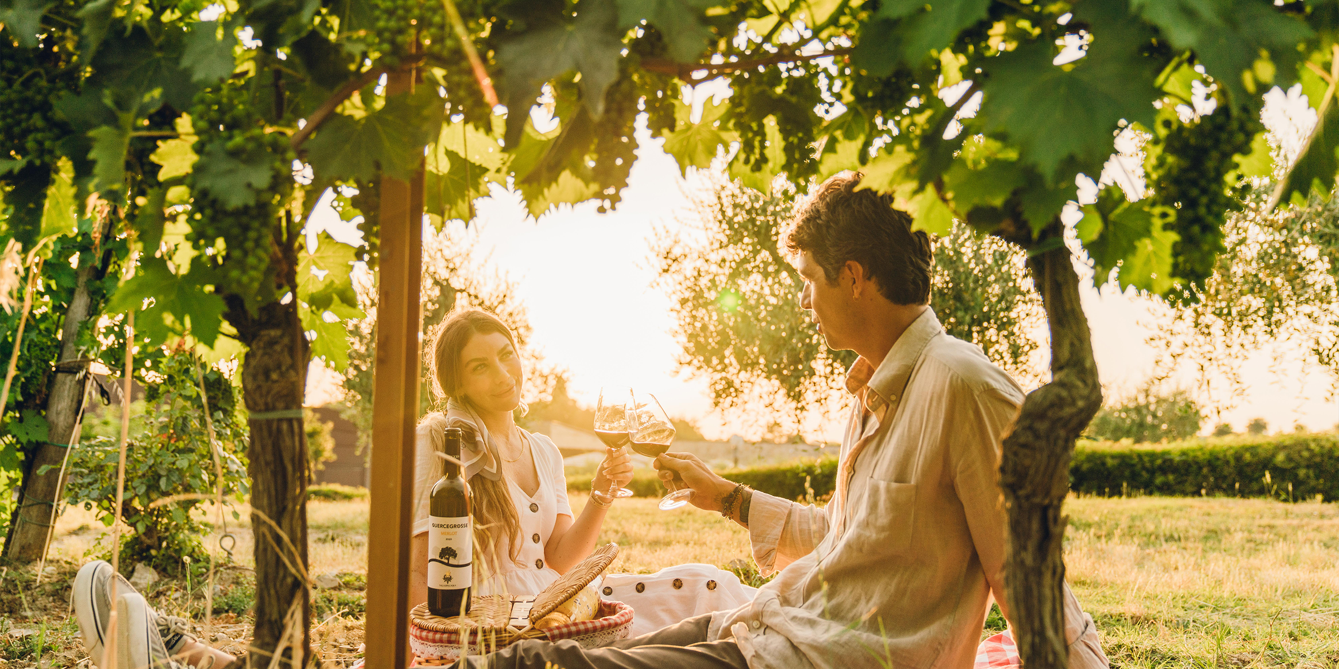 Picnic & Wine - 1