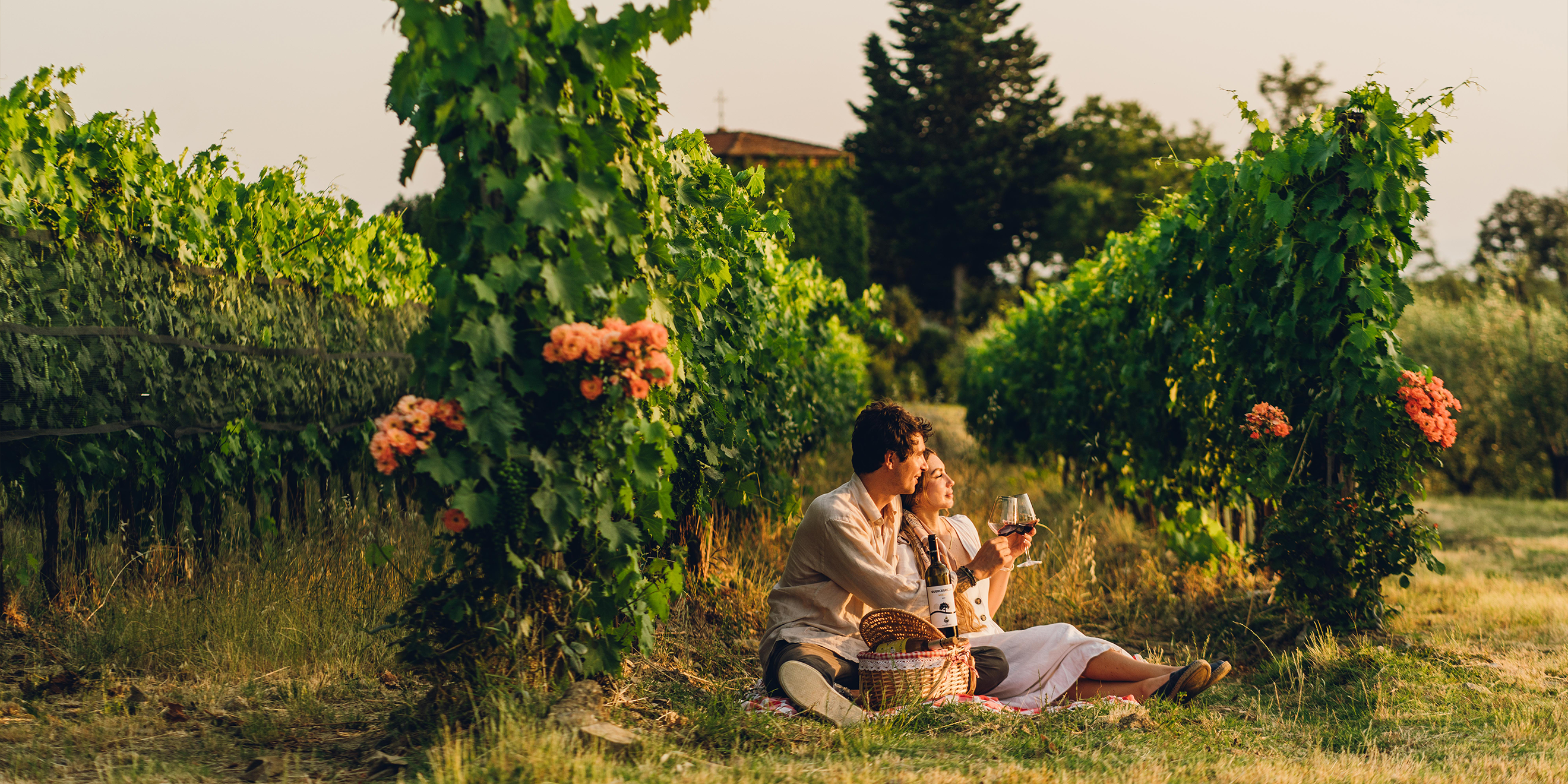 Picnic & Wine - 3