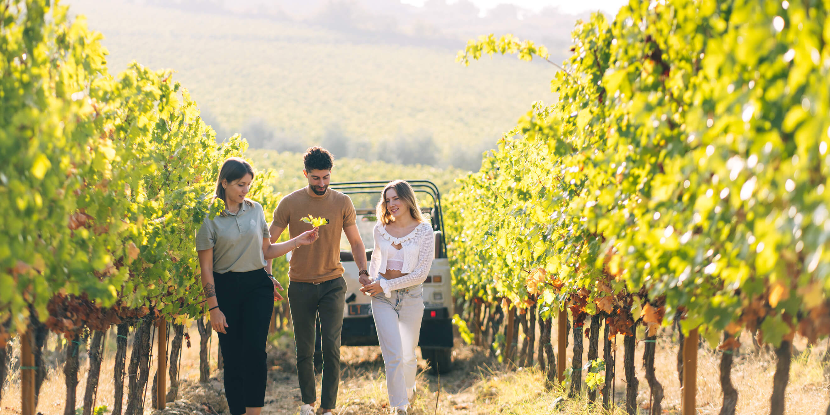 Wine Safari Experience - 5